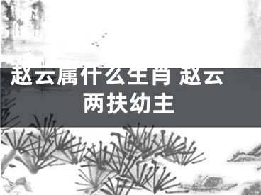 赵云属什么生肖 赵云两扶幼主