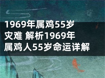 1969年属鸡55岁灾难 解析1969年属鸡人55岁命运详解