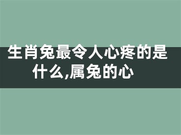 生肖兔最令人心疼的是什么,属兔的心