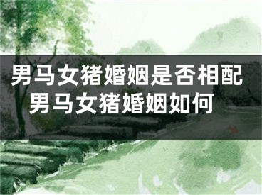 男马女猪婚姻是否相配 男马女猪婚姻如何