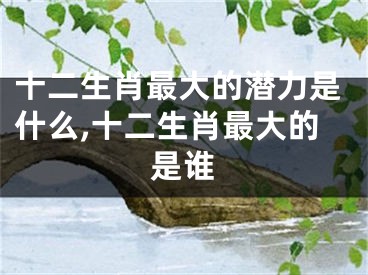 十二生肖最大的潜力是什么,十二生肖最大的是谁