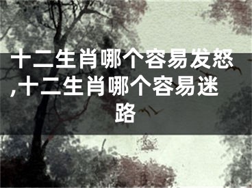 十二生肖哪个容易发怒,十二生肖哪个容易迷路