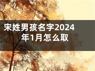 宋姓男孩名字2024年1月怎么取