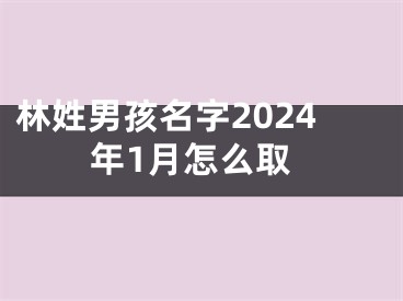 林姓男孩名字2024年1月怎么取