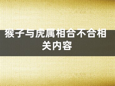 猴子与虎属相合不合相关内容