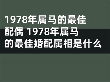 1978年属马的最佳配偶 1978年属马的最佳婚配属相是什么 