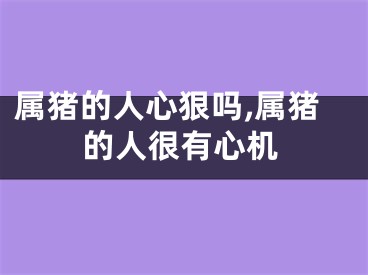 属猪的人心狠吗,属猪的人很有心机