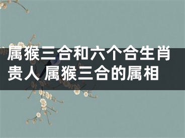 属猴三合和六个合生肖贵人 属猴三合的属相