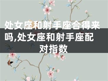 处女座和射手座合得来吗,处女座和射手座配对指数