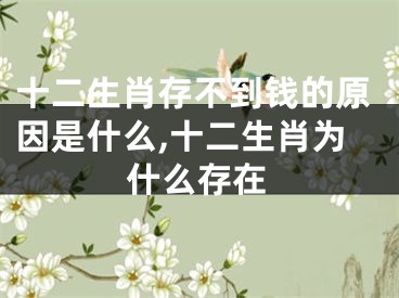 十二生肖存不到钱的原因是什么,十二生肖为什么存在