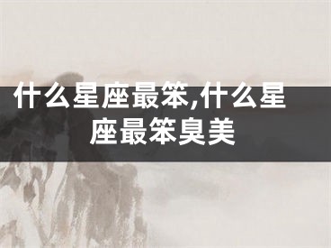 什么星座最笨,什么星座最笨臭美