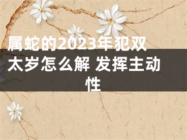 属蛇的2023年犯双太岁怎么解 发挥主动性