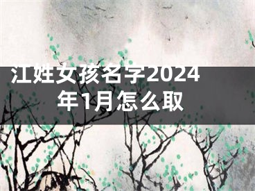 江姓女孩名字2024年1月怎么取