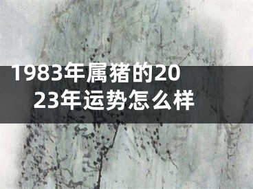 1983年属猪的2023年运势怎么样