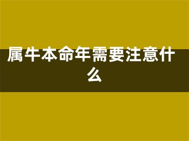 属牛本命年需要注意什么