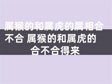 属猴的和属虎的属相合不合 属猴的和属虎的合不合得来