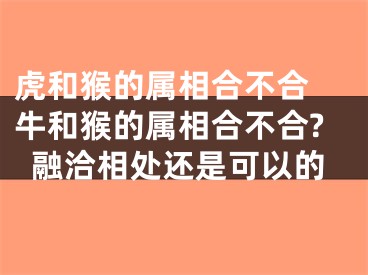 虎和猴的属相合不合 牛和猴的属相合不合?融洽相处还是可以的