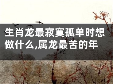 生肖龙最寂寞孤单时想做什么,属龙最苦的年