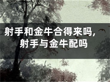 射手和金牛合得来吗,射手与金牛配吗