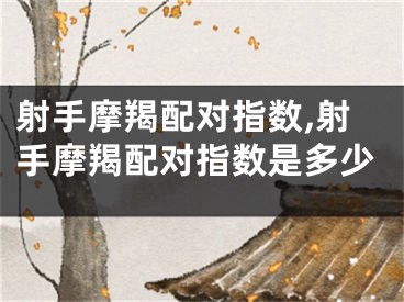 射手摩羯配对指数,射手摩羯配对指数是多少