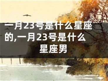一月23号是什么星座的,一月23号是什么星座男