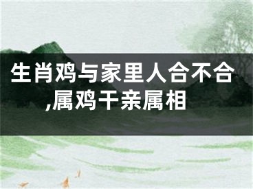 生肖鸡与家里人合不合,属鸡干亲属相