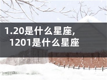 1.20是什么星座,1201是什么星座