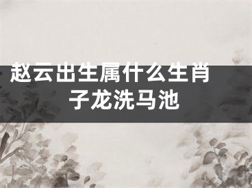 赵云出生属什么生肖 子龙洗马池