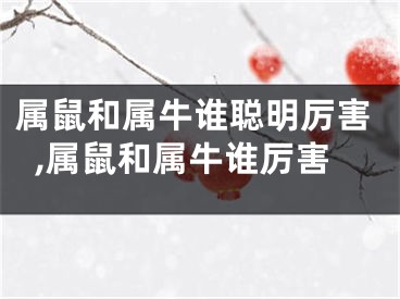 属鼠和属牛谁聪明厉害,属鼠和属牛谁厉害