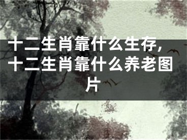 十二生肖靠什么生存,十二生肖靠什么养老图片