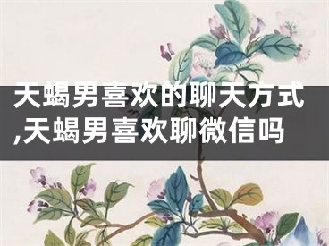 天蝎男喜欢的聊天方式,天蝎男喜欢聊微信吗