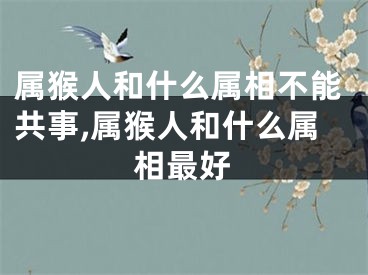 属猴人和什么属相不能共事,属猴人和什么属相最好