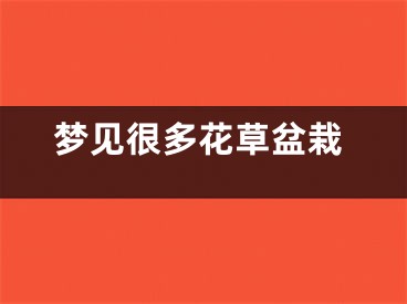 梦见很多花草盆栽