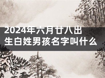 2024年六月廿八出生白姓男孩名字叫什么