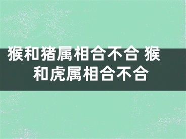 猴和猪属相合不合 猴和虎属相合不合