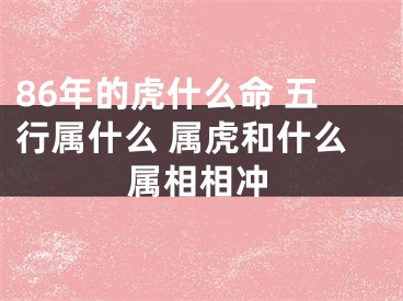 86年的虎什么命 五行属什么 属虎和什么属相相冲