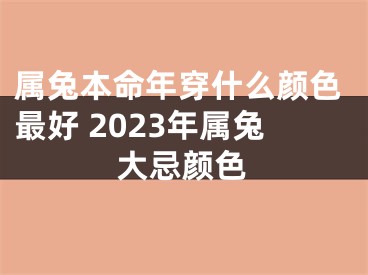 属兔本命年穿什么颜色最好 2023年属兔大忌颜色