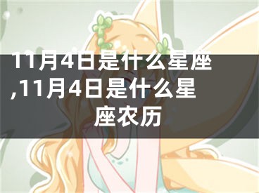 11月4日是什么星座,11月4日是什么星座农历