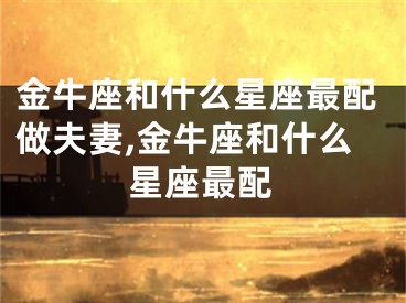金牛座和什么星座最配做夫妻,金牛座和什么星座最配