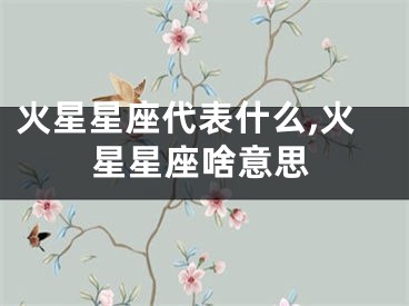 火星星座代表什么,火星星座啥意思