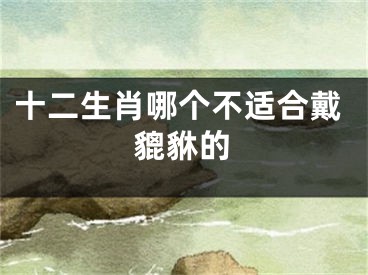 十二生肖哪个不适合戴貔貅的