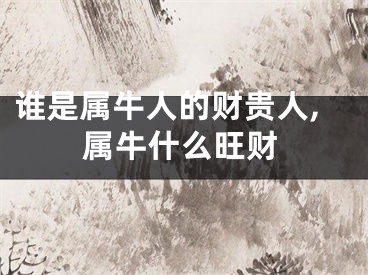 谁是属牛人的财贵人,属牛什么旺财