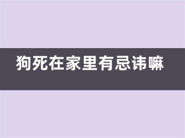 狗死在家里有忌讳嘛