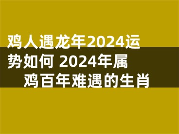 鸡人遇龙年2024运势如何 2024年属鸡百年难遇的生肖