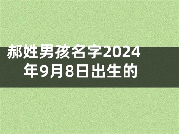郝姓男孩名字2024年9月8日出生的