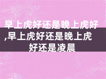 早上虎好还是晚上虎好,早上虎好还是晚上虎好还是凌晨