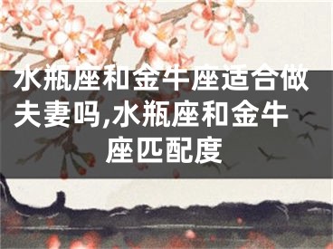 水瓶座和金牛座适合做夫妻吗,水瓶座和金牛座匹配度