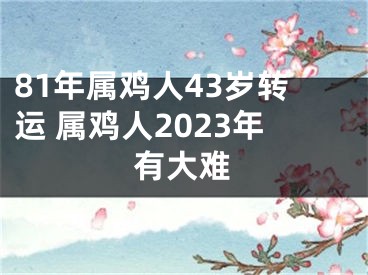 81年属鸡人43岁转运 属鸡人2023年有大难