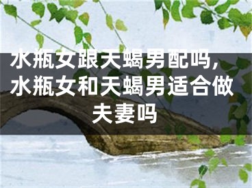 水瓶女跟天蝎男配吗,水瓶女和天蝎男适合做夫妻吗