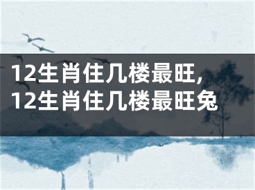 12生肖住几楼最旺,12生肖住几楼最旺兔